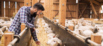 The Role of Sustainable Livestock Farming