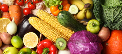 The Promise of Sustainable Vegetable Farming